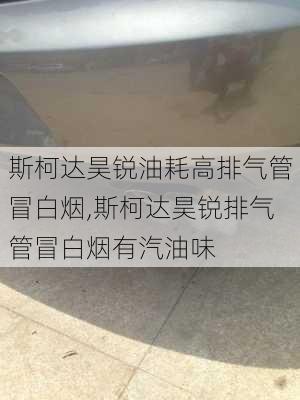 斯柯达昊锐油耗高排气管冒白烟,斯柯达昊锐排气管冒白烟有汽油味