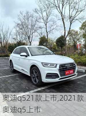 奥迪q521款上市,2021款奥迪q5上市