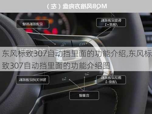 东风标致307自动挡里面的功能介绍,东风标致307自动挡里面的功能介绍图