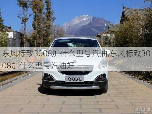 东风标致3008加什么型号汽油,东风标致3008加什么型号汽油好