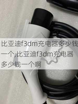 比亚迪f3dm充电器多少钱一个,比亚迪f3dm充电器多少钱一个啊