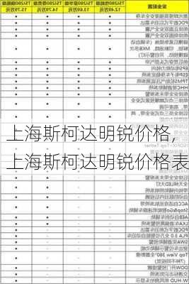 上海斯柯达明锐价格,上海斯柯达明锐价格表