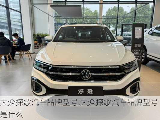 大众探歌汽车品牌型号,大众探歌汽车品牌型号是什么