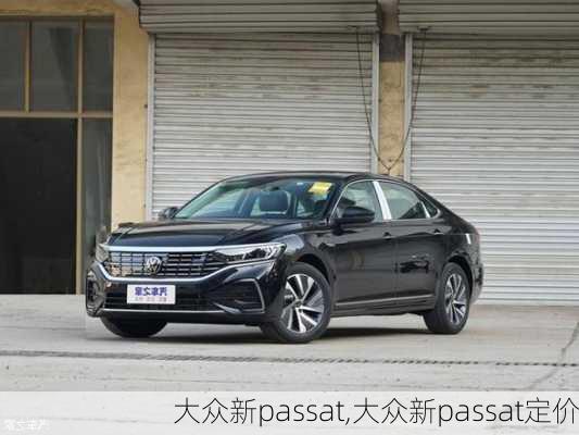 大众新passat,大众新passat定价