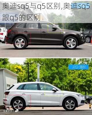 奥迪sq5与q5区别,奥迪sq5跟q5的区别