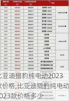 比亚迪猎豹纯电动2023款价格,比亚迪猎豹纯电动2023款价格多少