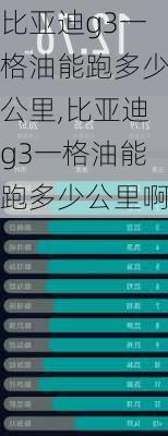 比亚迪g3一格油能跑多少公里,比亚迪g3一格油能跑多少公里啊