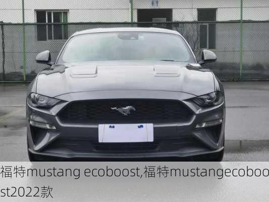 福特mustang ecoboost,福特mustangecoboost2022款