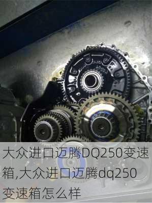 大众进口迈腾DQ250变速箱,大众进口迈腾dq250变速箱怎么样