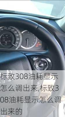 标致308油耗显示怎么调出来,标致308油耗显示怎么调出来的