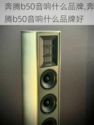 奔腾b50音响什么品牌,奔腾b50音响什么品牌好