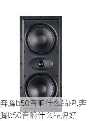 奔腾b50音响什么品牌,奔腾b50音响什么品牌好