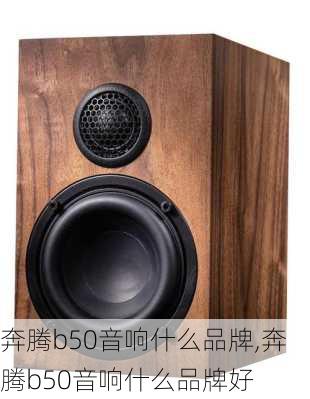 奔腾b50音响什么品牌,奔腾b50音响什么品牌好