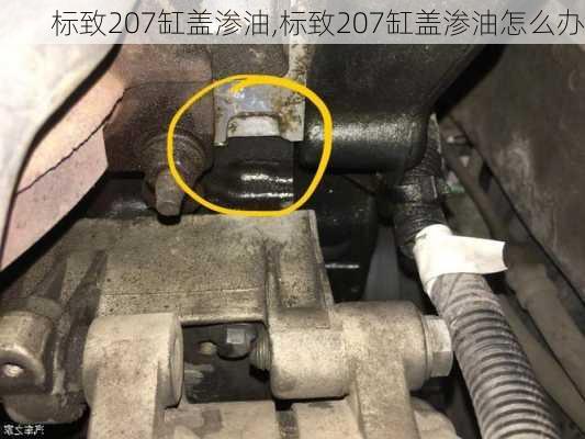 标致207缸盖渗油,标致207缸盖渗油怎么办