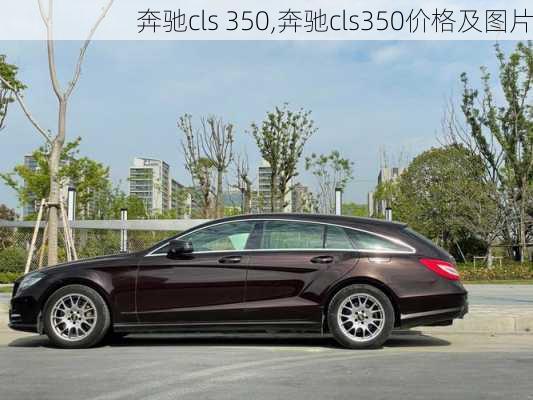 奔驰cls 350,奔驰cls350价格及图片