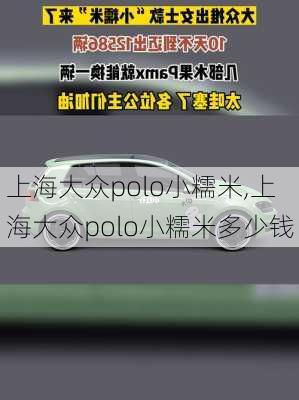 上海大众polo小糯米,上海大众polo小糯米多少钱