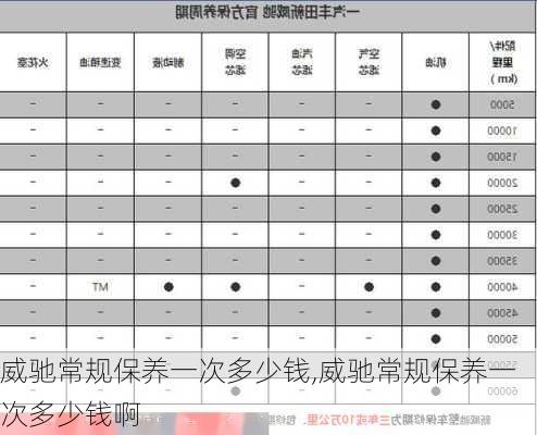 威驰常规保养一次多少钱,威驰常规保养一次多少钱啊