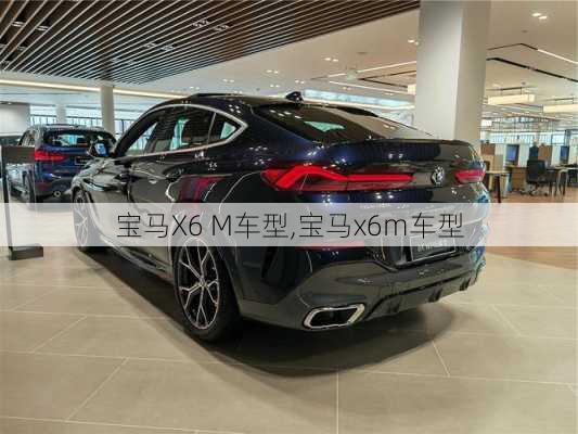 宝马X6 M车型,宝马x6m车型