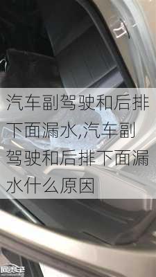 汽车副驾驶和后排下面漏水,汽车副驾驶和后排下面漏水什么原因