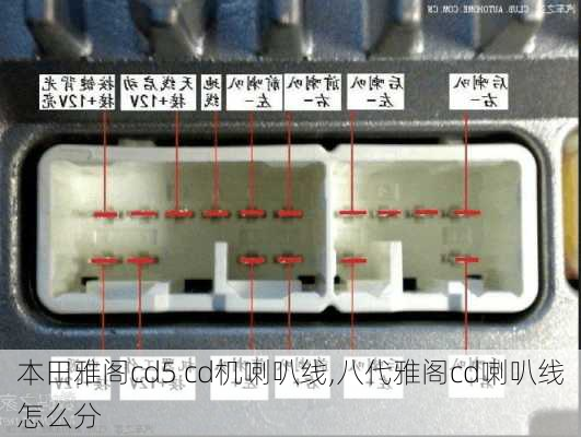 本田雅阁cd5 cd机喇叭线,八代雅阁cd喇叭线怎么分