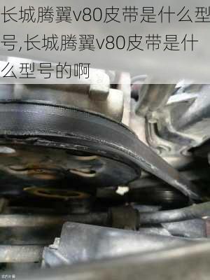 长城腾翼v80皮带是什么型号,长城腾翼v80皮带是什么型号的啊