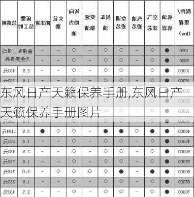 东风日产天籁保养手册,东风日产天籁保养手册图片