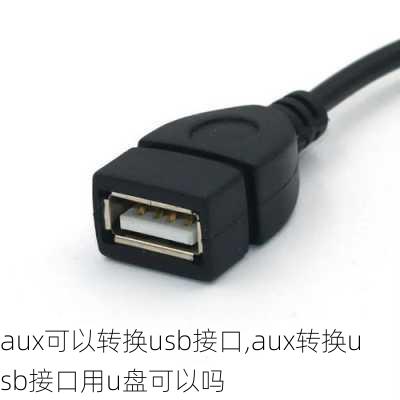 aux可以转换usb接口,aux转换usb接口用u盘可以吗