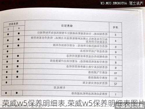 荣威w5保养明细表,荣威w5保养明细表图片