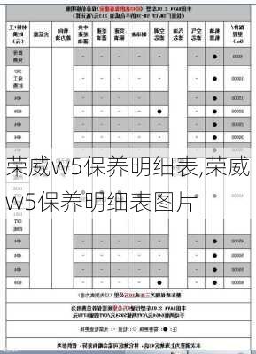 荣威w5保养明细表,荣威w5保养明细表图片