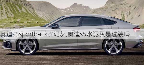 奥迪s5sportback水泥灰,奥迪s5水泥灰是选装吗