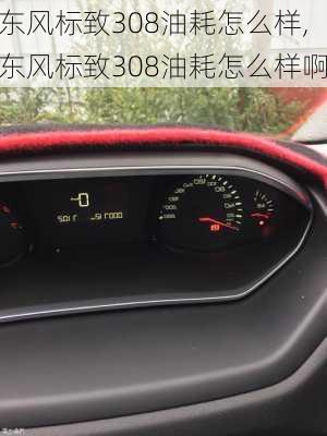 东风标致308油耗怎么样,东风标致308油耗怎么样啊