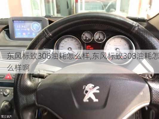 东风标致308油耗怎么样,东风标致308油耗怎么样啊