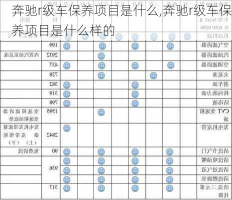 奔驰r级车保养项目是什么,奔驰r级车保养项目是什么样的