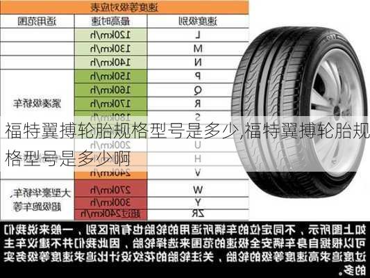 福特翼搏轮胎规格型号是多少,福特翼搏轮胎规格型号是多少啊