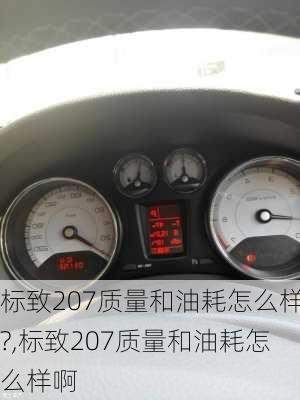 标致207质量和油耗怎么样?,标致207质量和油耗怎么样啊