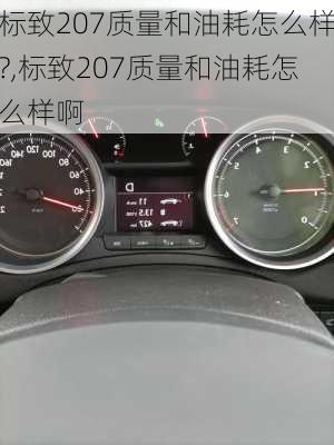 标致207质量和油耗怎么样?,标致207质量和油耗怎么样啊