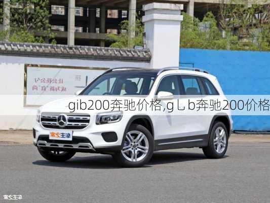 gib200奔驰价格,g乚b奔驰200价格