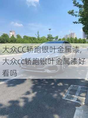 大众CC轿跑银叶金属漆,大众cc轿跑银叶金属漆好看吗