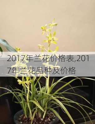 2017年兰花价格表,2017年兰花品种及价格