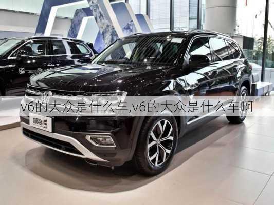 v6的大众是什么车,v6的大众是什么车啊