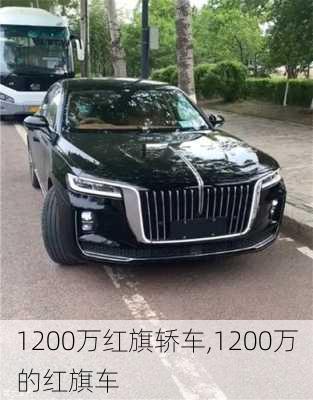 1200万红旗轿车,1200万的红旗车