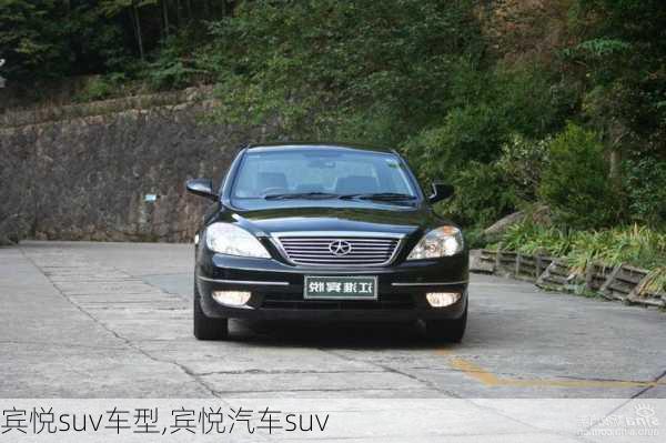 宾悦suv车型,宾悦汽车suv