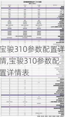 宝骏310参数配置详情,宝骏310参数配置详情表