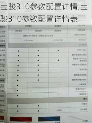 宝骏310参数配置详情,宝骏310参数配置详情表