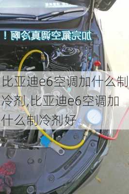 比亚迪e6空调加什么制冷剂,比亚迪e6空调加什么制冷剂好