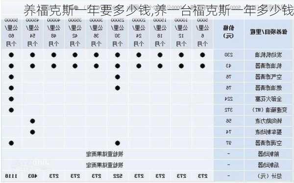 养福克斯一年要多少钱,养一台福克斯一年多少钱