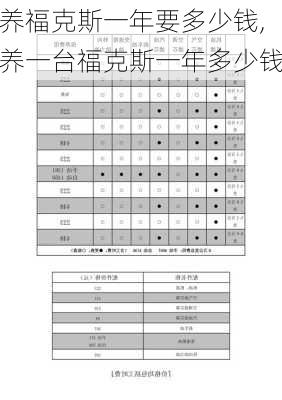 养福克斯一年要多少钱,养一台福克斯一年多少钱