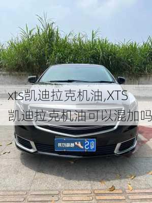 xts凯迪拉克机油,XTS凯迪拉克机油可以混加吗