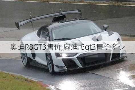 奥迪R8GT3售价,奥迪r8gt3售价多少