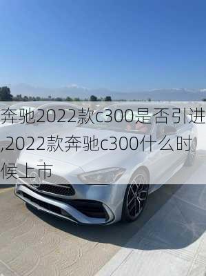 奔驰2022款c300是否引进,2022款奔驰c300什么时候上市